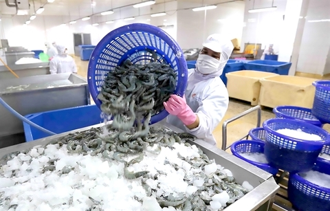 Ca Mau facilitates seafood exports to the UK